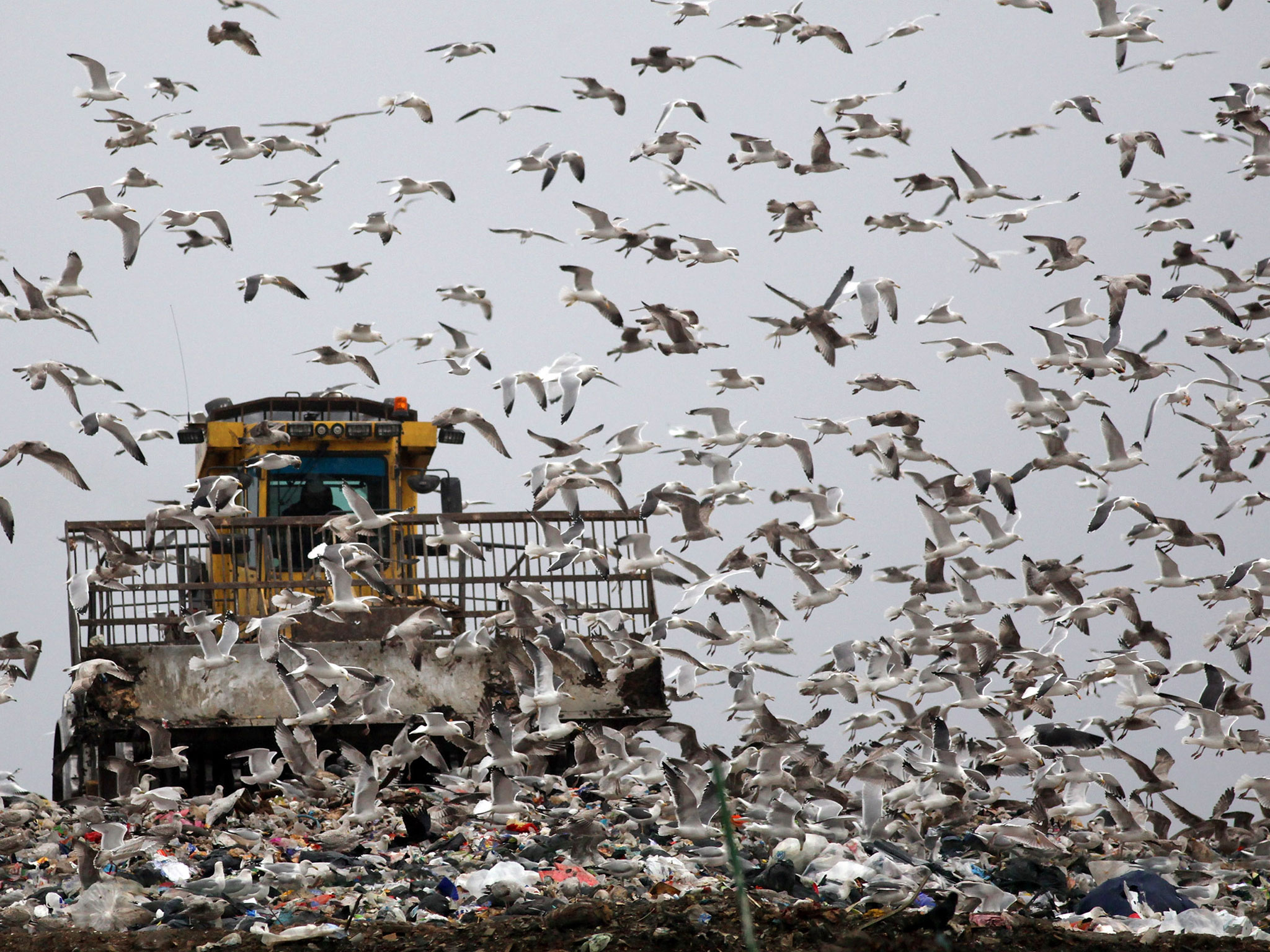 toxic timebomb landfill sites