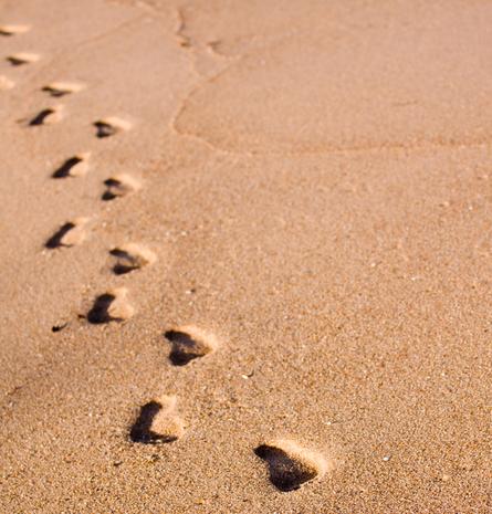 footprints in sand